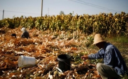 Thị trường h&agrave;ng h&oacute;a &ldquo;đỏ lửa&rdquo; trước &aacute;p lực từ triển vọng kinh tế vĩ m&ocirc;