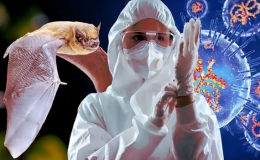 V&igrave; sao dơi c&oacute; thể tạo ra những virus c&oacute; thể sống s&oacute;t trong điều kiện khắc nghiệt?