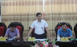 X&acirc;y dựng thương hiệu l&uacute;a gạo tỉnh Th&aacute;i B&igrave;nh