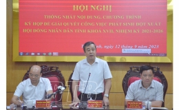 Chuẩn bị kỹ lưỡng cho kỳ họp giải quyết c&ocirc;ng việc ph&aacute;t sinh đột xuất của HĐND tỉnh