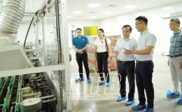 C&ocirc;ng ty Cổ phần Quốc tế Bảo Hưng: Nhiều giải ph&aacute;p tiết kiệm năng lượng hiệu quả