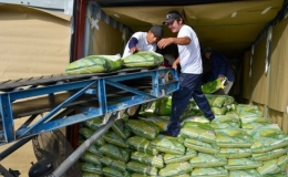 Gi&aacute; gạo xuất khẩu giảm