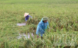 Khẩn trương ti&ecirc;u r&uacute;t nước bảo vệ sản xuất n&ocirc;ng nghiệp