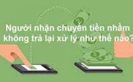 Nhận tiền chuyển khoản nhầm m&agrave; kh&ocirc;ng chịu trả, 1 đối tượng bị khởi tố h&igrave;nh sự