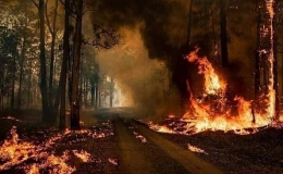  Những c&acirc;u hỏi xung quanh tầng ozone