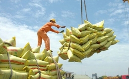 N&ocirc;ng sản được m&ugrave;a, được gi&aacute;