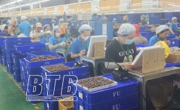 Ph&aacute;t triển đo&agrave;n vi&ecirc;n v&agrave; c&ocirc;ng đo&agrave;n cơ sở: Ch&uacute; trọng cả số lượng v&agrave; chất lượng