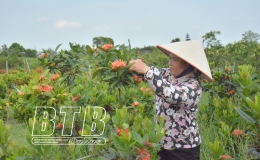 Phụ nữ Th&aacute;i B&igrave;nh: Khơi kh&aacute;t vọng, tạo động lực thực hiện nghị quyết đại hội đảng c&aacute;c cấp