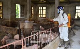 Th&agrave;nh phố: Tổ chức th&aacute;ng vệ sinh khử tr&ugrave;ng, ti&ecirc;u độc từ ng&agrave;y 15/9 - 15/10