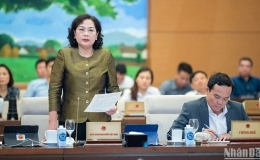 Thống đốc Ng&acirc;n h&agrave;ng Nh&agrave; nước: Sở hữu ch&eacute;o kh&oacute; c&oacute; thể xử l&yacute; triệt để bằng một quy định