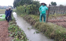 Tin cảnh b&aacute;o ngập lụt khu vực cửa s&ocirc;ng, ven biển Th&aacute;i B&igrave;nh 