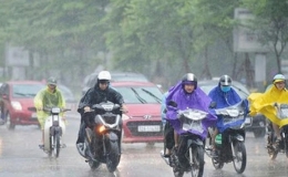 Tin mưa d&ocirc;ng v&agrave; mưa lớn cục bộ tại Th&aacute;i B&igrave;nh 