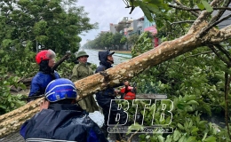 To&agrave;n tỉnh khẩn trương khắc phục hậu quả b&atilde;o số 3 