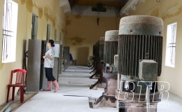 Kiến Xương: Chủ động ph&ograve;ng, chống lũ lụt, sẵn s&agrave;ng kh&ocirc;i phục sản xuất sau b&atilde;o