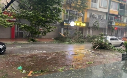 B&atilde;o số 3: Đ&atilde; c&oacute; 4 người chết, 78 người bị thương 