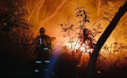 Ch&aacute;y rừng l&agrave;m gia tăng hiện tượng Tr&aacute;i đất n&oacute;ng l&ecirc;n