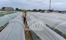 Chủ động ứng ph&oacute; với mưa &uacute;ng