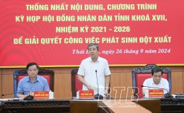 Chuẩn bị chu đ&aacute;o cho kỳ họp HĐND tỉnh để giải quyết c&ocirc;ng việc ph&aacute;t sinh đột xuất