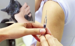 "Chung tay ph&aacute; vỡ r&agrave;o cản - ph&ograve;ng chống bệnh dại"