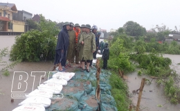 Đồng ch&iacute; Trưởng ban Tuy&ecirc;n gi&aacute;o Tỉnh ủy kiểm tra, chỉ đạo khắc phục sự cố tr&agrave;n bờ bao tại Kiến Xương