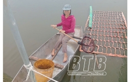 Đ&ocirc;ng Hưng: Nỗ lực khắc phục thiệt hại, ổn định sản xuất sau b&atilde;o