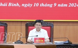 G&oacute;p &yacute; dự thảo Quy chế l&agrave;m việc mẫu của đảng đo&agrave;n, ban c&aacute;n sự đảng cấp tỉnh