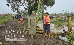 Hưng H&agrave;: Xử l&yacute; kịp thời c&aacute;c điểm tr&agrave;n đ&ecirc; bối