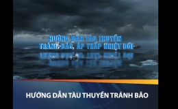 Hướng dẫn t&agrave;u thuyền tr&aacute;nh b&atilde;o