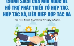 Ch&iacute;nh s&aacute;ch hỗ trợ ph&aacute;t triển hợp t&aacute;c x&atilde;