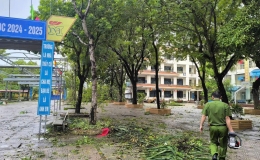 Khẩn trương hỗ trợ học sinh kh&oacute; khăn, bổ sung s&aacute;ch gi&aacute;o khoa cho địa phương chịu ảnh hưởng b&atilde;o