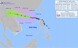 Kỹ năng ứng ph&oacute; với b&atilde;o