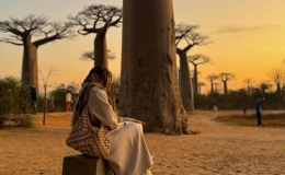 Lạc v&agrave;o thế giới cổ t&iacute;ch tr&ecirc;n đại lộ Baobab ở Madagascar