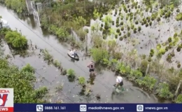 L&agrave;ng c&acirc;y cảnh B&aacute;ch Thuận &ocirc; nhiễm v&igrave; ngập l&acirc;u