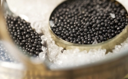 Quy tr&igrave;nh đặc biệt l&agrave;m trứng c&aacute; muối ch&acirc;u Phi thượng hạng