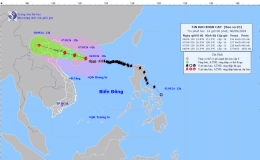 Tin b&atilde;o khẩn cấp (Cơn b&atilde;o số 3)