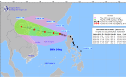 Tin b&atilde;o tr&ecirc;n biển Đ&ocirc;ng (Cơn b&atilde;o số 3)