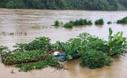 Tin cảnh b&aacute;o lũ tr&ecirc;n s&ocirc;ng Hồng, s&ocirc;ng Luộc tỉnh Th&aacute;i B&igrave;nh 