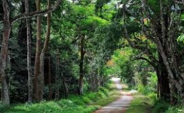 Vườn Quốc gia C&uacute;c Phương 6 năm li&ecirc;n tiếp được b&igrave;nh chọn l&agrave; Vườn Quốc gia h&agrave;ng đầu ch&acirc;u &Aacute;