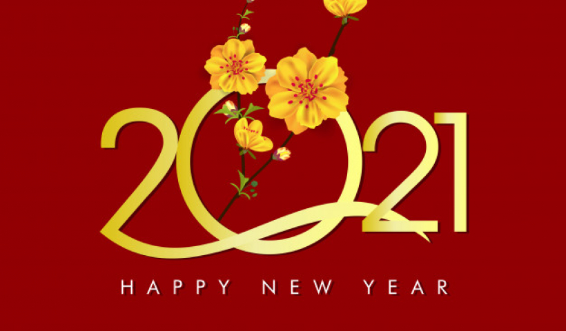 10 sự kiện v&agrave; th&agrave;nh tựu nổi bật tỉnh của Th&aacute;i B&igrave;nh năm 2020