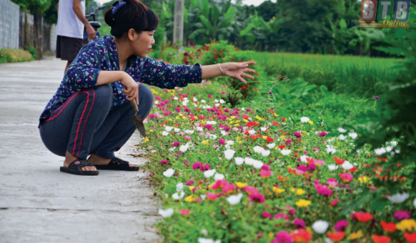 3.930 hộ gia đ&igrave;nh đạt ti&ecirc;u ch&iacute; "5 kh&ocirc;ng 3 sạch"