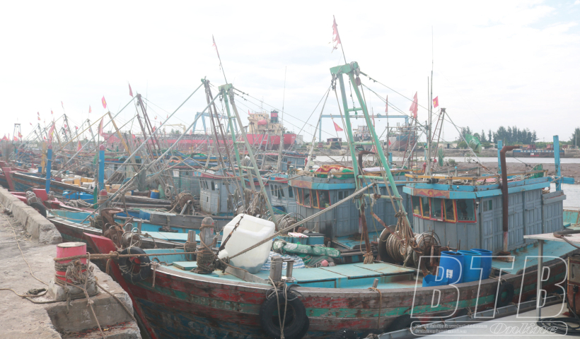 Ảnh hưởng của b&atilde;o số 2, Th&aacute;i B&igrave;nh c&oacute; mưa vừa, mưa to từ chiều nay