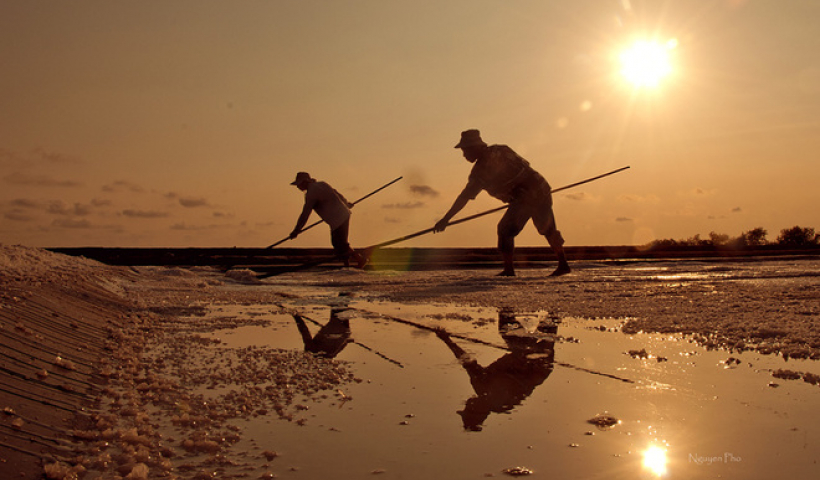 Bảo tồn, ph&aacute;t triển nghề sản xuất muối truyền thống 
