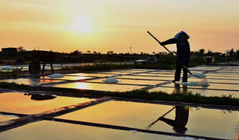 Bảo tồn v&agrave; ph&aacute;t triển l&agrave;ng nghề sản xuất muối Thụy Hải gắn với du lịch