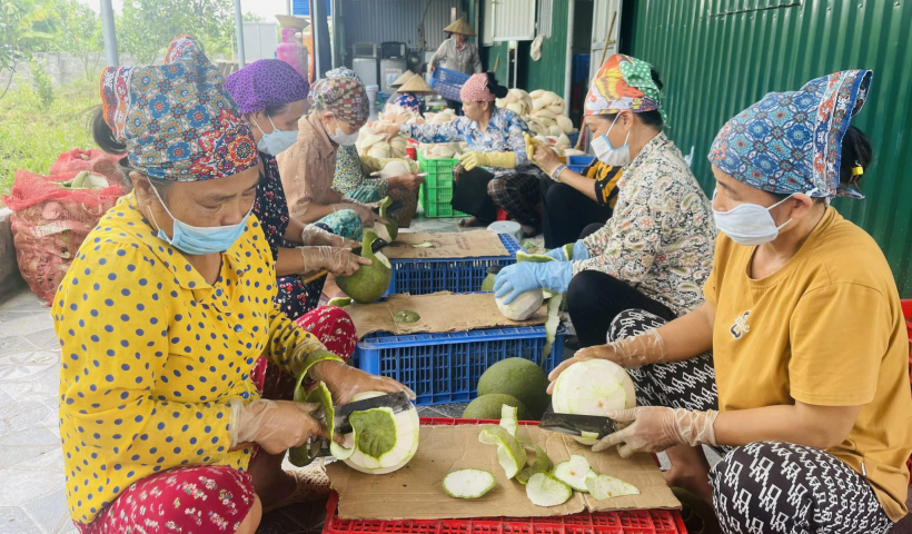 Biến c&ugrave;i bưởi th&agrave;nh m&oacute;n ăn đậm vị hương qu&ecirc;