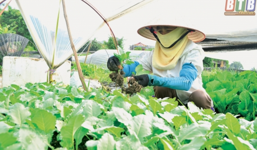 C&aacute;c cấp hội Phụ nữ huyện Quỳnh Phụ t&iacute;n chấp hỗ trợ hội vi&ecirc;n vay tr&ecirc;n 189 tỷ đồng 