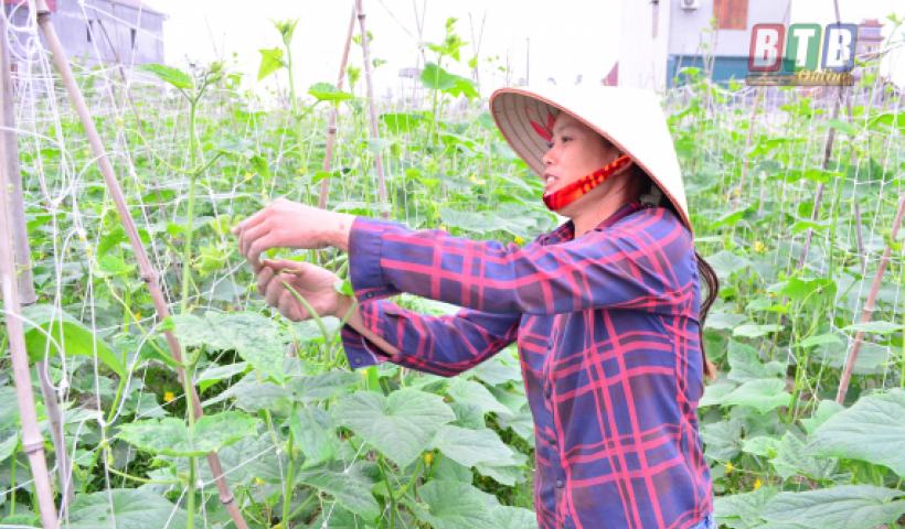 C&aacute;c cấp hội phụ nữ trong tỉnh tiết kiệm hơn 161 tỷ đồng