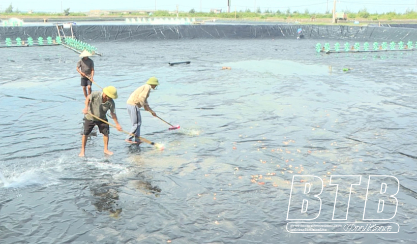 Cải tạo ao đầm vụ nu&ocirc;i trồng thủy sản vụ xu&acirc;n h&egrave;