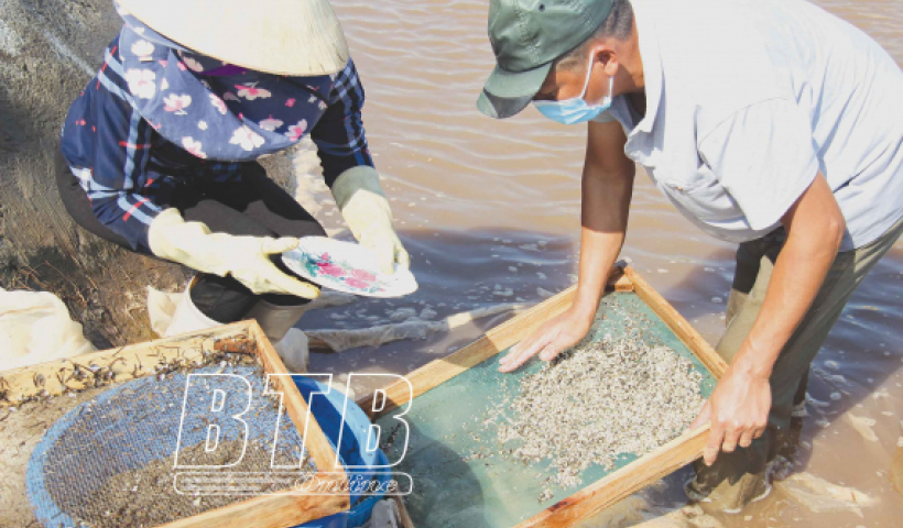 Cảnh b&aacute;o m&ocirc;i trường v&ugrave;ng nu&ocirc;i trồng thủy sản