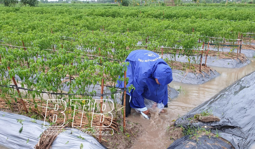 Chủ động bảo vệ sản xuất n&ocirc;ng nghiệp 