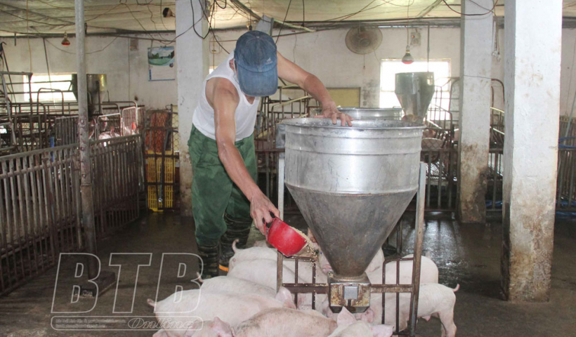 Chủ trương chăn nu&ocirc;i thời gian tới hướng tới chất lượng v&agrave; gi&aacute; trị gia tăng hơn l&agrave; số lượng